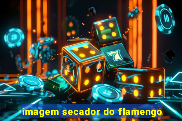 imagem secador do flamengo